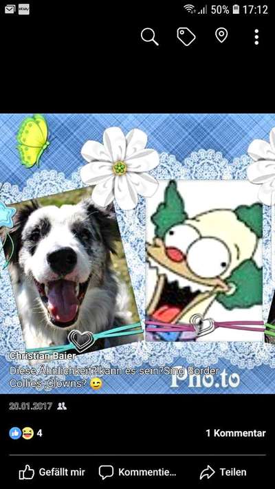 Fotochallenge Nr.122-Beitrag-Bild