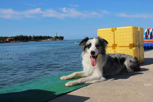 Eure Strandbilder :)-Beitrag-Bild