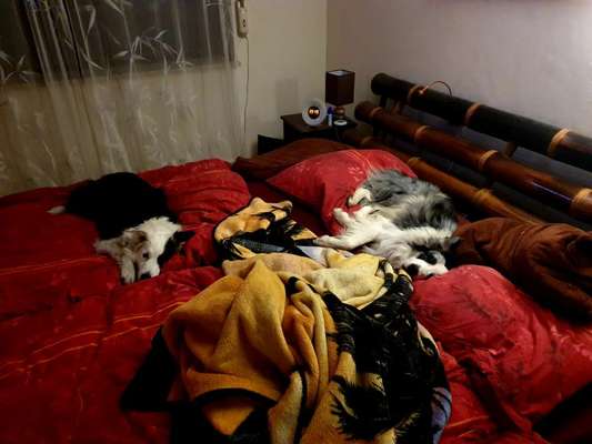 Erfahrung mit Wolkenbett-Beitrag-Bild