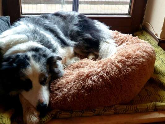 Erfahrung mit Wolkenbett-Beitrag-Bild