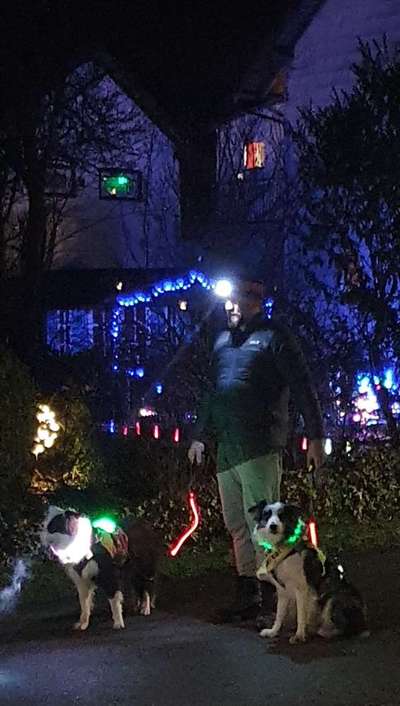 FOTOCHALLENGE 109: Leuchtwürmer Sicherheit im Straßenverkehr und mehr...-Beitrag-Bild