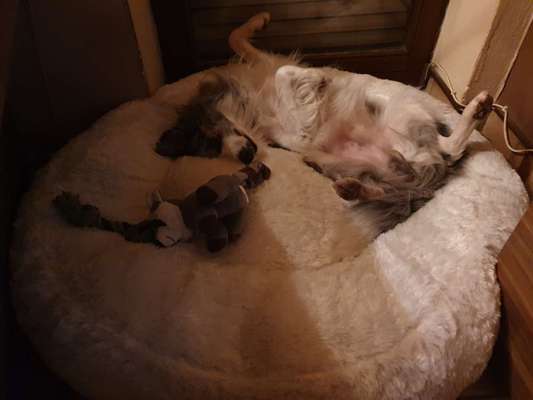 Erfahrung mit Wolkenbett-Beitrag-Bild