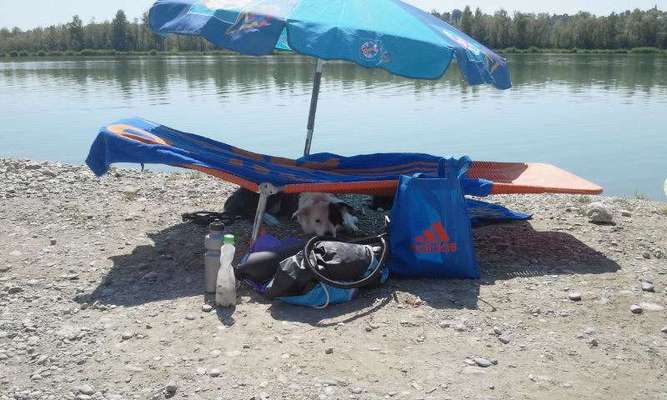 Eure Strandbilder :)-Beitrag-Bild