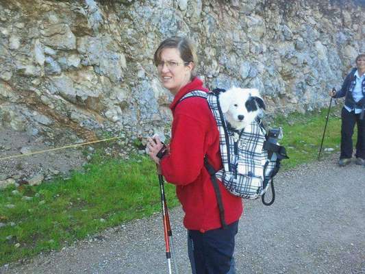 121. Fotochallenge-Beitrag-Bild