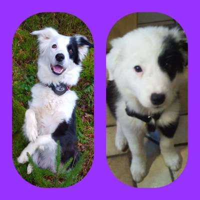 28. Handy-Fotochallenge - Damals und heute-Beitrag-Bild