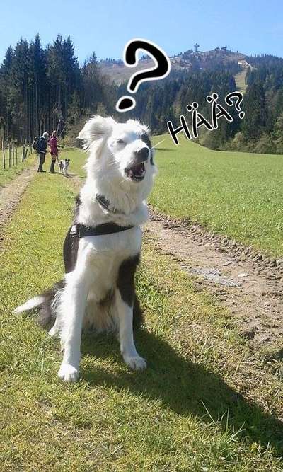 Handy-foto Challange nr. 11-Beitrag-Bild