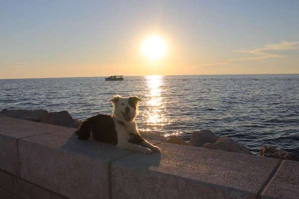 Fotochallenge 37- Sommerfeeling-Beitrag-Bild