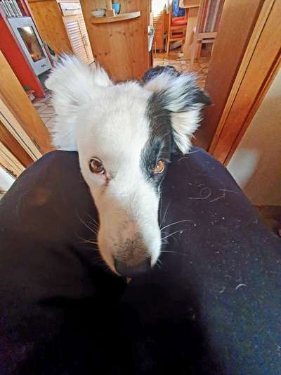 Fotochallenge 113: Auf frsicher Tat ertappt-Beitrag-Bild