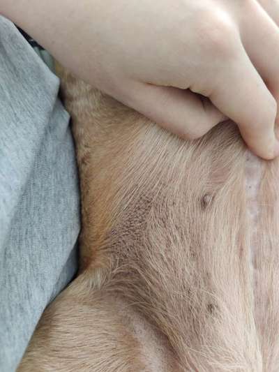 bitte um Hilfe.-Beitrag-Bild
