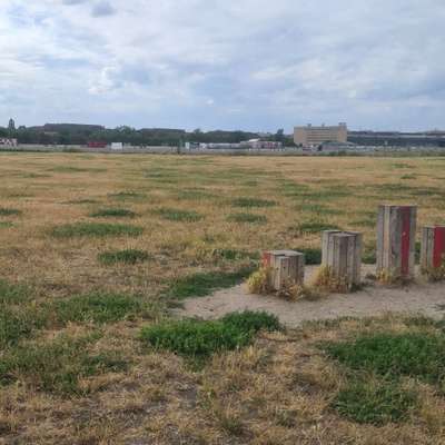 Hundetreffen-Hundewiese Tempelhofer Feld-Bild