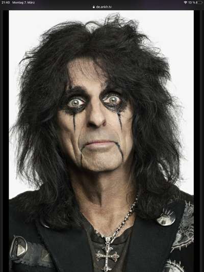 Wie heißt dein Hund?-Beitrag-Bild