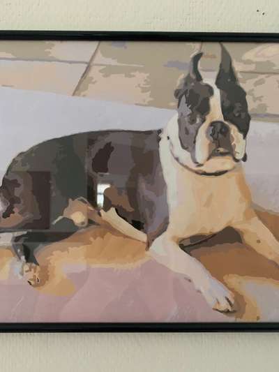 Postet das beste Foto von euren 4 beinern-Beitrag-Bild