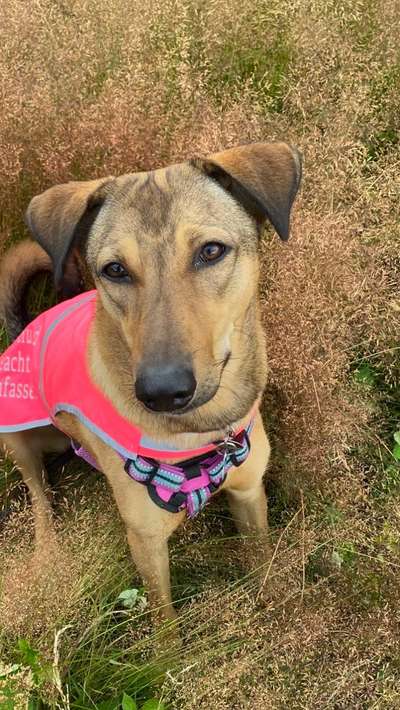 Handyfoto challenge Nr. 13: Waschlappen raus!-Beitrag-Bild