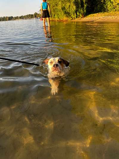 Fotowettbewerb: Wasserratte-Beitrag-Bild