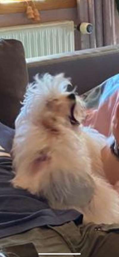 Un...scharf Bilder-Beitrag-Bild