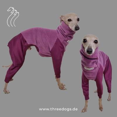 Windhunde - Treffen der besonderen Schönheiten
HERZLICH WILLKOMMEN-Beitrag-Bild