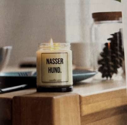 Hunde Memes-Beitrag-Bild