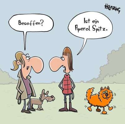 Hunde Memes-Beitrag-Bild