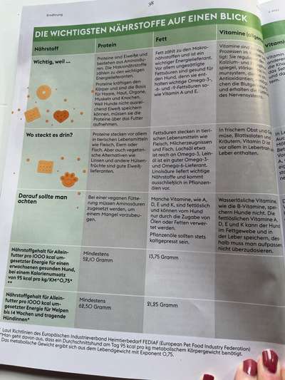 Hochwertiges / Bedarfsgerechtes Nassfutter (ohne Barfen), welches nur?-Beitrag-Bild