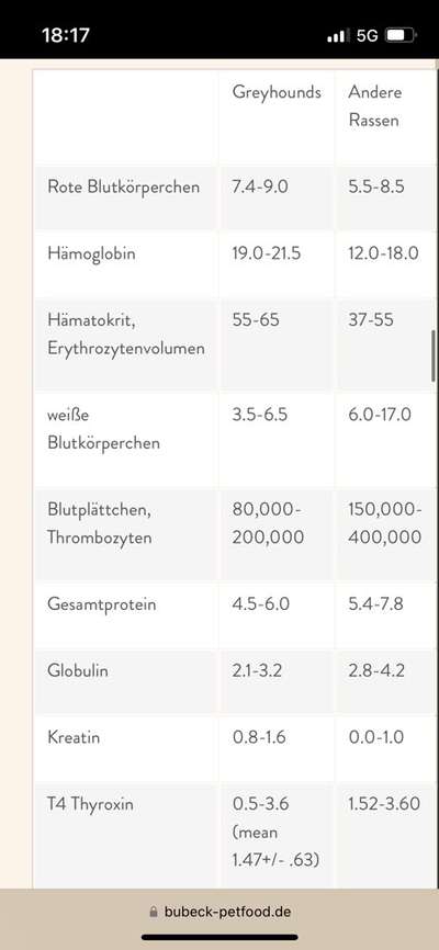 Windhunde - Treffen der besonderen Schönheiten
HERZLICH WILLKOMMEN-Beitrag-Bild
