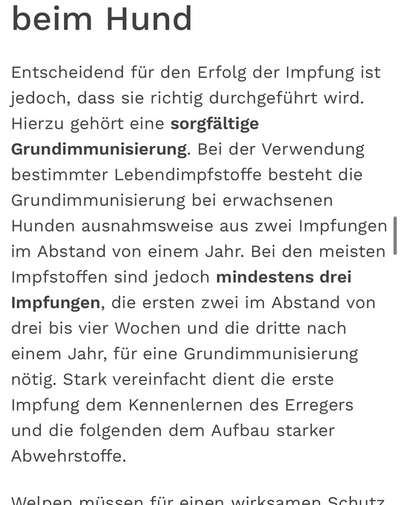 Welpenimpfung Tierarzt will 3x Impfen-Beitrag-Bild