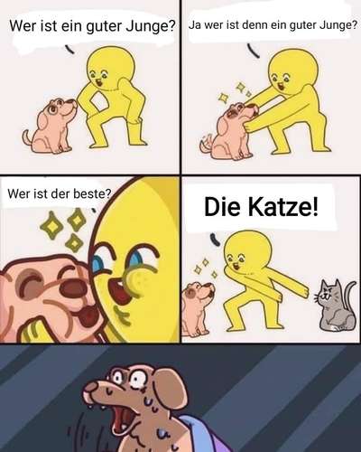 Hunde Memes-Beitrag-Bild
