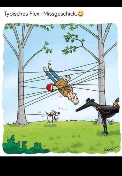 Windhunde - Treffen der besonderen Schönheiten
HERZLICH WILLKOMMEN-Beitrag-Bild