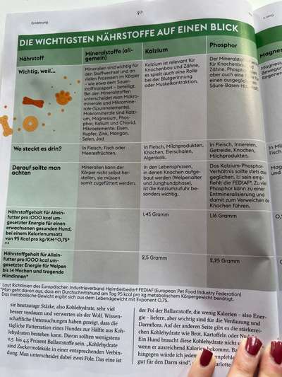 Hochwertiges / Bedarfsgerechtes Nassfutter (ohne Barfen), welches nur?-Beitrag-Bild