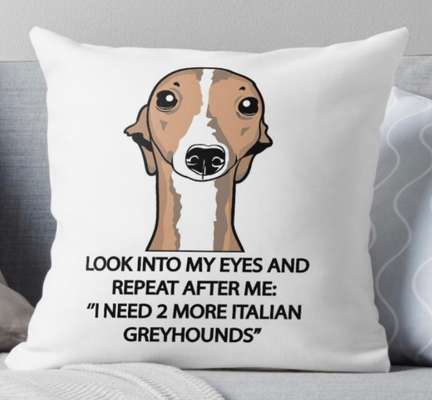 Windhunde - Treffen der besonderen Schönheiten
HERZLICH WILLKOMMEN-Beitrag-Bild