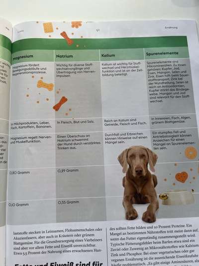 Hochwertiges / Bedarfsgerechtes Nassfutter (ohne Barfen), welches nur?-Beitrag-Bild