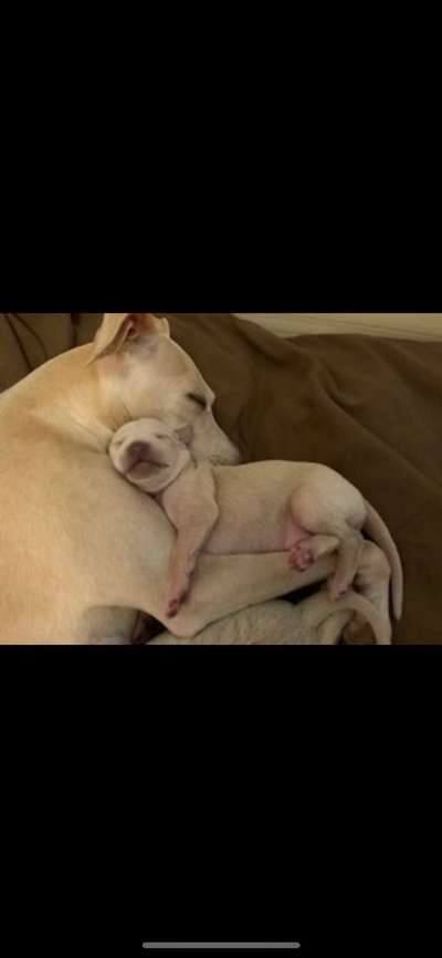 28. Handy-Fotochallenge - Damals und heute-Beitrag-Bild