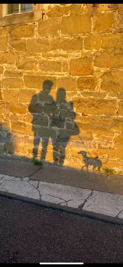 Windhunde - Treffen der besonderen Schönheiten
HERZLICH WILLKOMMEN-Beitrag-Bild