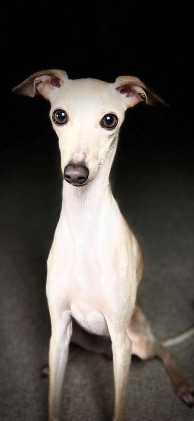 28. Handy-Fotochallenge - Damals und heute-Beitrag-Bild