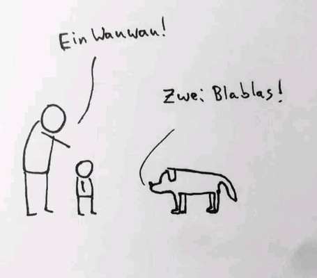 Hunde Memes-Beitrag-Bild