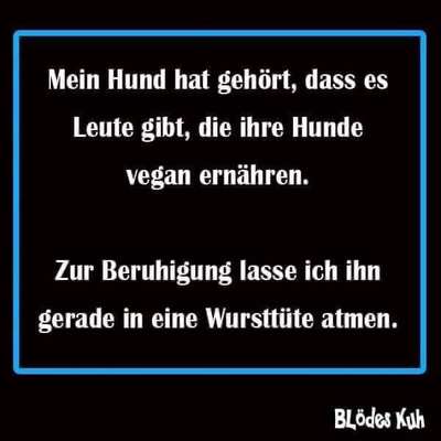 Hunde Memes-Beitrag-Bild