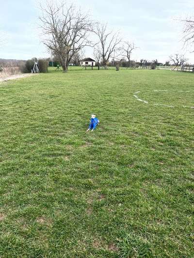 Windhunde - Treffen der besonderen Schönheiten
HERZLICH WILLKOMMEN-Beitrag-Bild