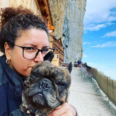 Hundetreffen-Social Walks - gemeinsames Training, Vorallem gemeinsam laufen, aber kein Kotakt zwischen den Hunden-Bild