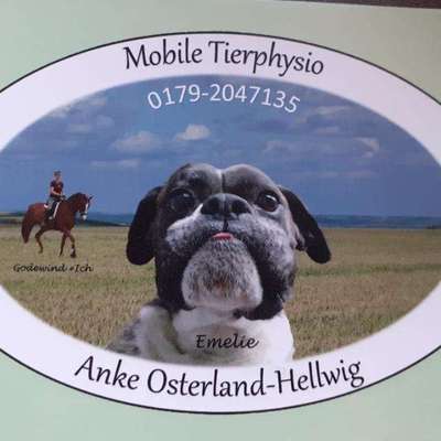 Medizinische Dienstleistungen-Mobile Tierphysio Anke Osterland-Bild