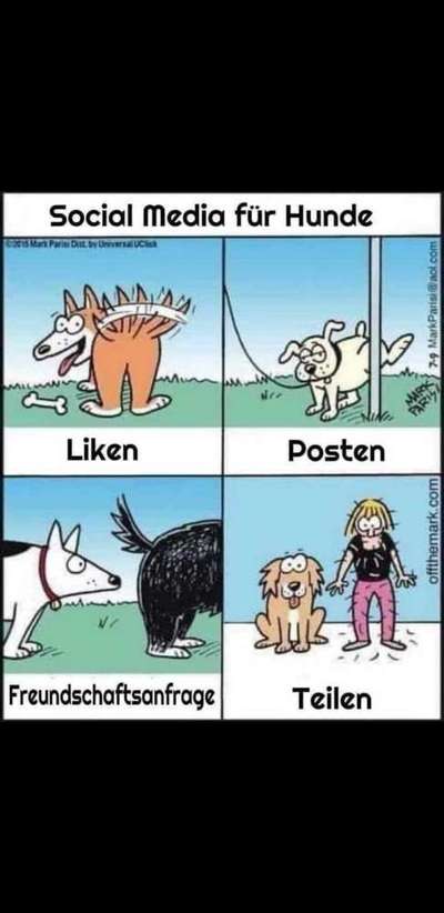 Hunde Memes-Beitrag-Bild