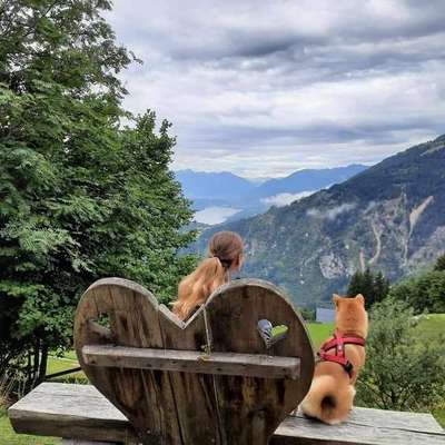 Hundetreffen-Spiel und Spaziergang 🙂