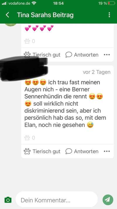 Berner Sennen-Beitrag-Bild