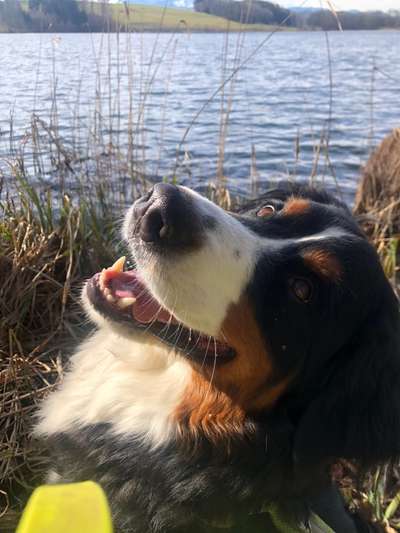 Fotochallenge Nr.122-Beitrag-Bild