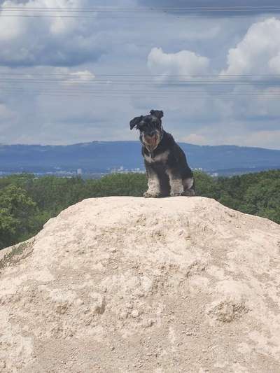 Fotochallenge Nr 107-Beitrag-Bild