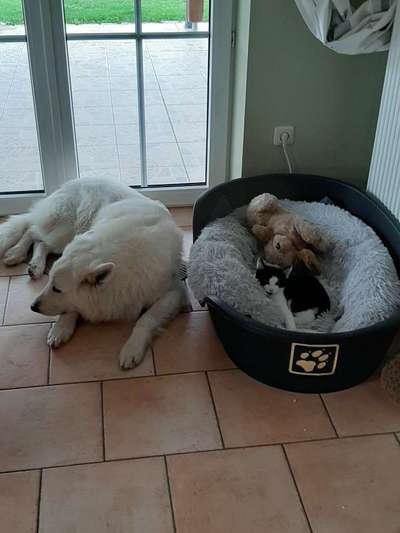 Zeigt mir eure Lieblingsfotos ♡♡-Beitrag-Bild