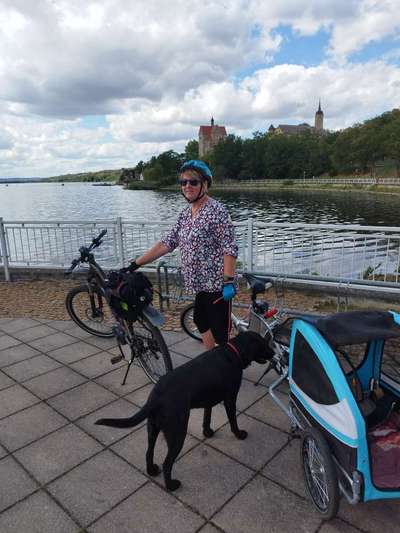 Mit Fahrradanhänger unterwegs?-Beitrag-Bild