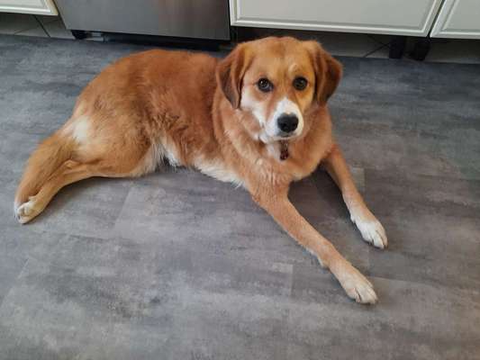 Doppelgänger gesucht !-Beitrag-Bild