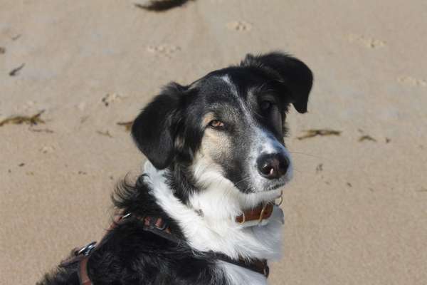 Fotochallange Nr. 57     PORTRÄT.   Beendet!!!!!!!!-Beitrag-Bild