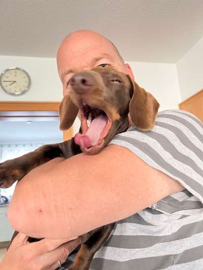 Tongue Out Tuesday-Beitrag-Bild