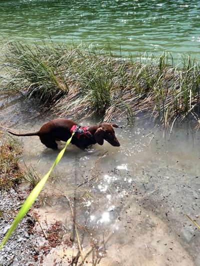 Eure Strandbilder :)-Beitrag-Bild