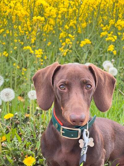 Lieblingsbild-Beitrag-Bild